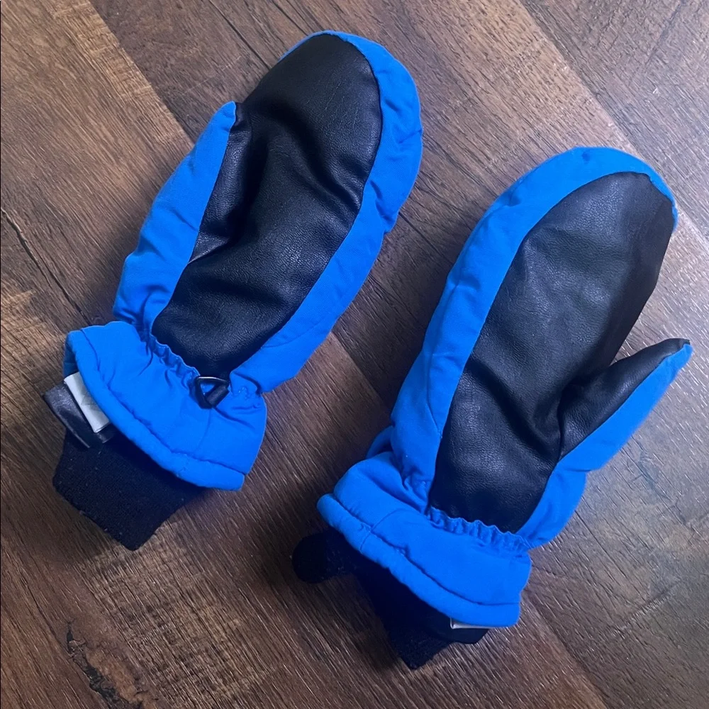 Black and Blue Winter Mittens